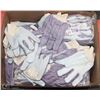 Image 1 : LARGE BOX OF SUEDE PALM WORK GLOVES