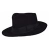Image 1 : Michael Jackson Stage-Worn Fedora