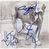 Image 1 : Alice in Chains Signed CD
