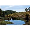 Image 1 : Napa Wine Country Trip For 2 With Airfare