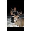 Image 1 : Manitoba Whitetail Deer Hunt For 1 Hunter