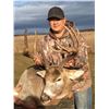Image 2 : Manitoba Whitetail Deer Hunt For 1 Hunter