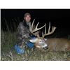 Image 1 : Minnesota Whitetail Hunt For 1 Hunter With $2000 Trophy Fee Credit