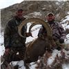 Image 1 : Mid-Asian Ibex Hunt in Kyrgyzstan or Tajikistan