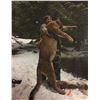 Image 1 : 6 Day Mountain Lion Hunt in Idaho