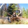 Image 2 : Idaho Elk hunt