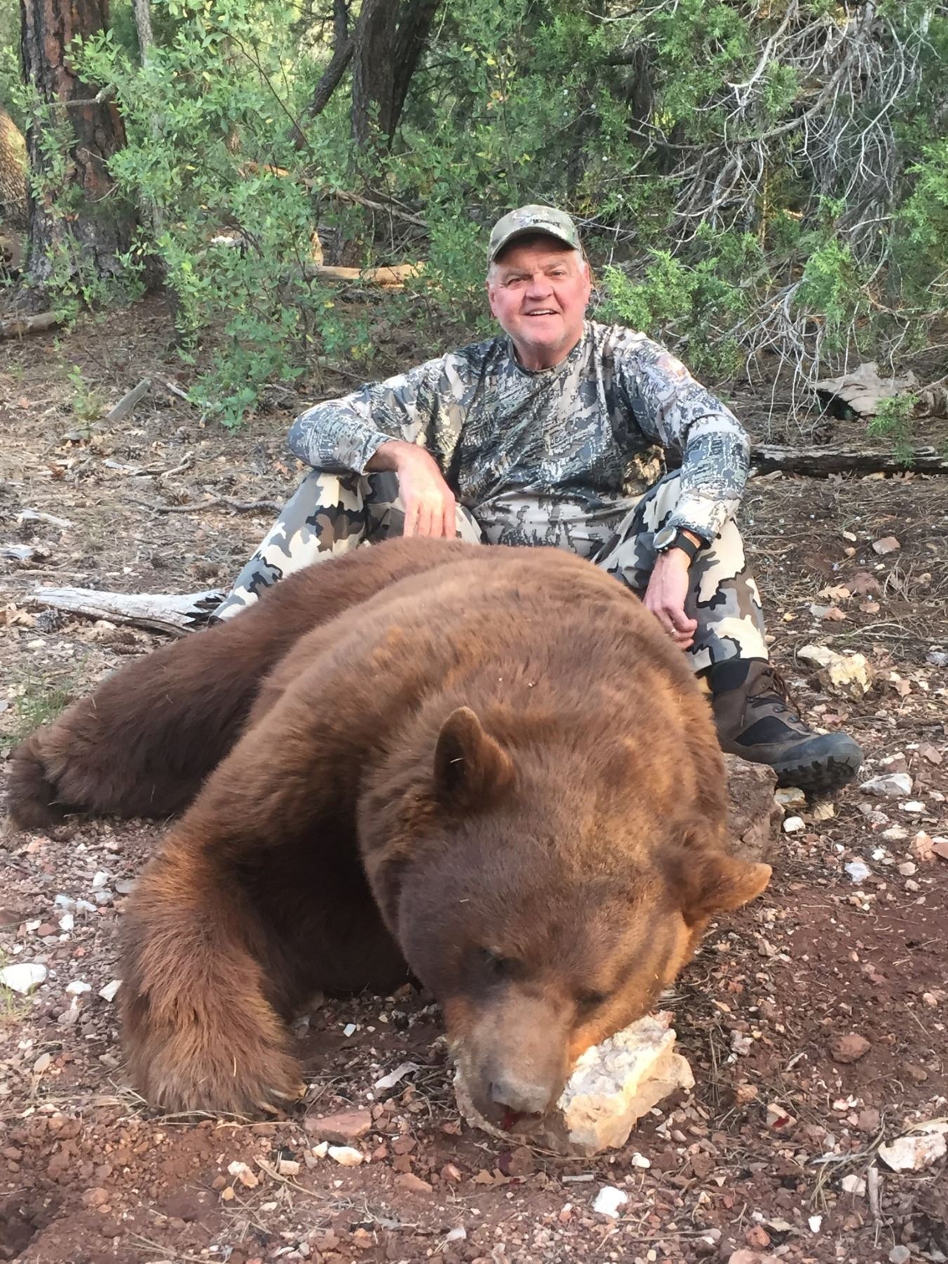 5 Day Arizona Bear Hunt for 1 hunter