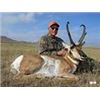Image 2 : 2018 WYOMING ANTELOPE HUNT