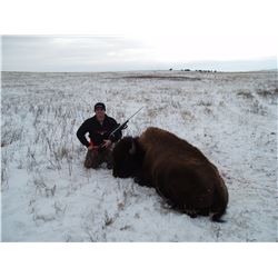 South Dakota Trophy Buffalo Hunt