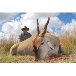 10 Day African Hunt for 4 Hunters in South Africa