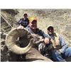 Image 2 : 2018 WYOMING GOVERNOR’S ROCKY MOUNTAIN BIGHORN SHEEP LICENSE