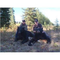 Guided Spot & Stalk Bear Hunt in British Columbia for 1 Hunter with 1 Observer