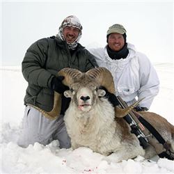 Kyrgyzstan Marco Polo Hunt/Hume Argali