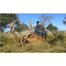 Red Stag Hunt in Argentina for 2 Hunters Caichue Pure Hunting