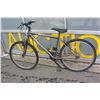 Image 1 : GREY ARASHI MOUNTAIN BIKE