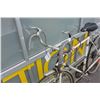 Image 3 : WHITE ROAD KING BIKE