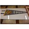 Image 2 : HOPE BC PENNANT AND WATER COLOR