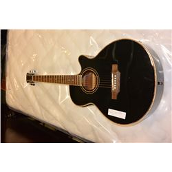 NORTHLAND ACOUSTIC ELECTRIC GUITAR WITH CASE
