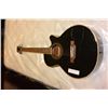 Image 1 : NORTHLAND ACOUSTIC ELECTRIC GUITAR WITH CASE