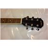 Image 2 : NORTHLAND ACOUSTIC ELECTRIC GUITAR WITH CASE