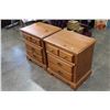 Image 2 : PAIR OF PALLISAR NIGHTSTANDS