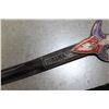 Image 3 : MALWA SWORD AND SHEATH