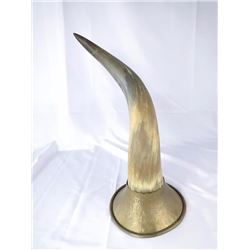 Horn w/ Mount
