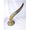 Image 2 : Horn w/ Mount
