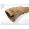 Image 4 : Old Powder Horn