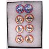 Image 1 : 8 Las Vegas $5 Gaming Chips NFR Edition