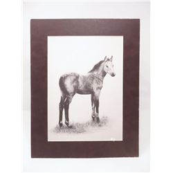 Sketch of a Horse