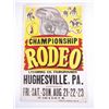 Image 3 : Rodeo Posters