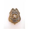 Image 1 : Private Detective Badge/Pin