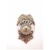 Image 1 : Deputy Constable Pin