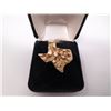 Image 1 : 14kt Gold Nugget Texas Ring