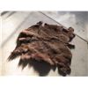 Image 1 : Buffalo Hide