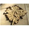 Image 2 : Buffalo Hide