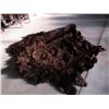 Image 1 : Buffalo Hide