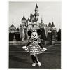 Image 9 : Collection of (36) Disneyland Publicity Photos.