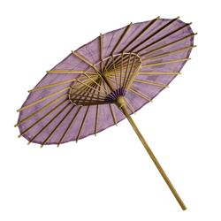Vintage Disneyland Parasol.