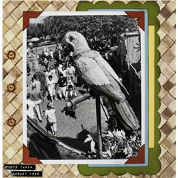 Fulton Burley "Tiki Room" Photo Gift.