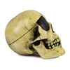 Image 2 : Randotti Pirate Skull.