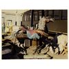 Image 5 : King Arthur Carrousel Horse Photo Archive.