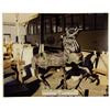 Image 8 : King Arthur Carrousel Horse Photo Archive.