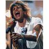 Image 1 : Steven Tyler Aerosmith Signed 11x14 Photo