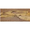 Image 2 : Set of Two Screen Used The Mummy Costume Wraps