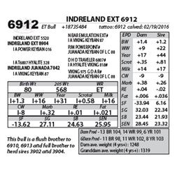 INDRELAND EXT 6912