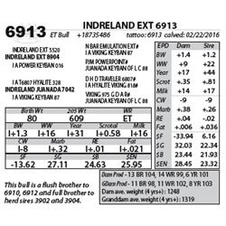 INDRELAND EXT 6913