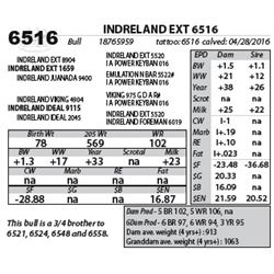 INDRELAND EXT 6516