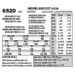 INDRELAND EXT 6520